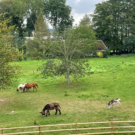 Le Clos Du Val A Loup 度假居 Bénarville
