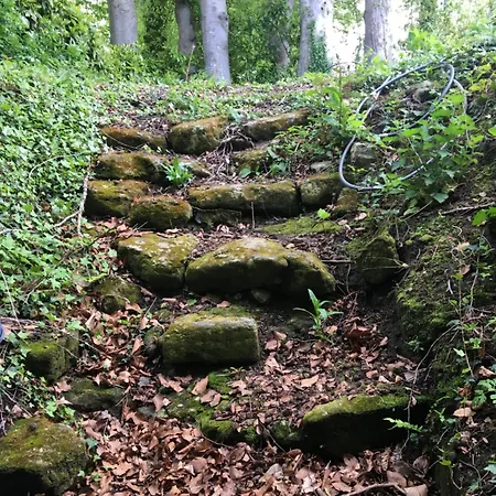 Le Clos Du Val A Loup 度假居