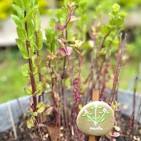 Le Clos Du Val A Loup *