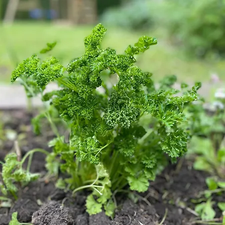 度假居 Le Clos Du Val A Loup