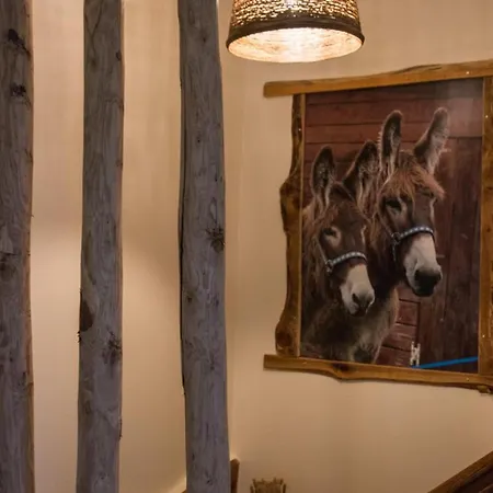 Le Clos Du Val A Loup 度假居 *