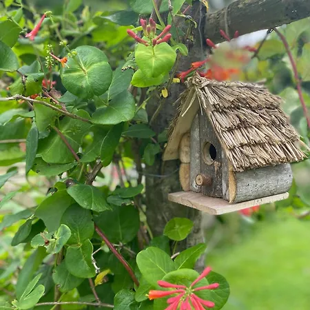 Le Clos Du Val A Loup * Bénarville