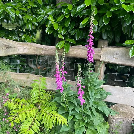 Le Clos Du Val A Loup 度假居 Bénarville