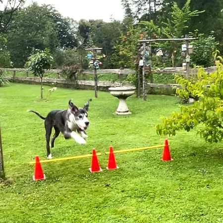Le Clos Du Val A Loup 度假居 Bénarville